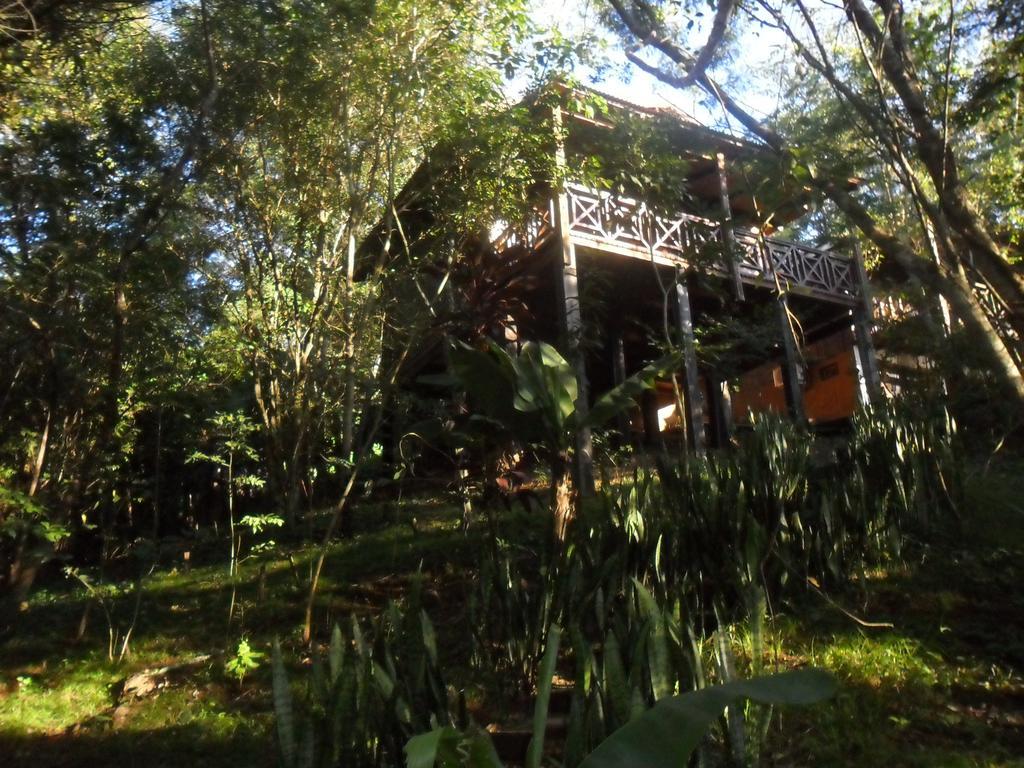 Panambi Lodge B&B Puerto Iguazú Exterior foto